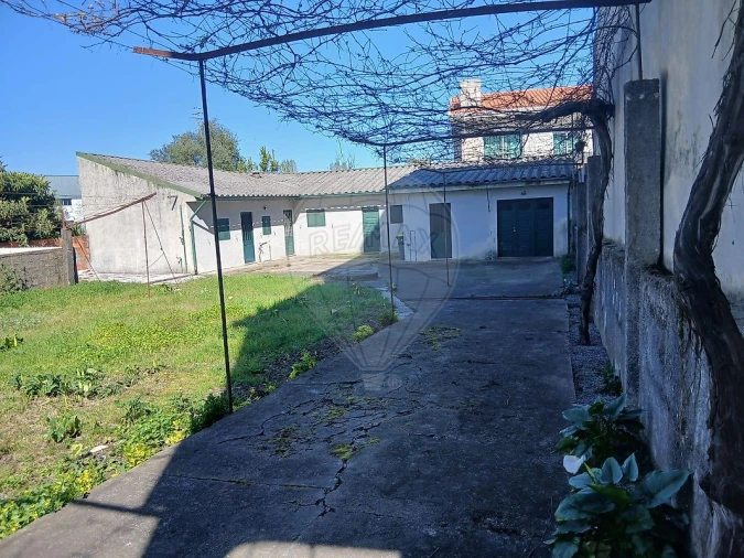 Terreno para Venda em Nogueira e Silva Escura Foto 3