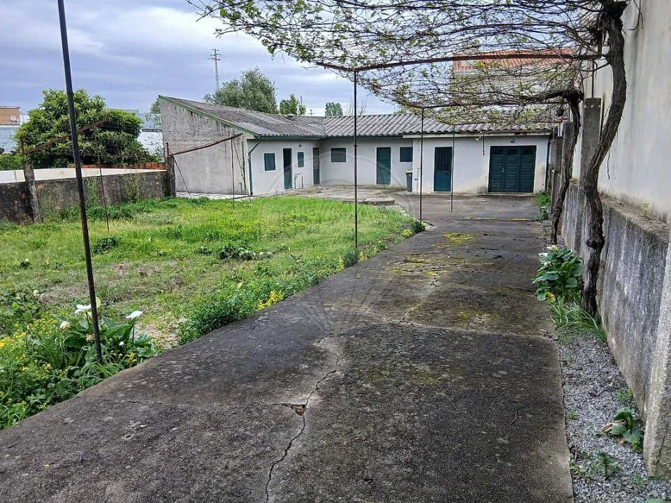 Terreno para Venda em Nogueira e Silva Escura Foto 4