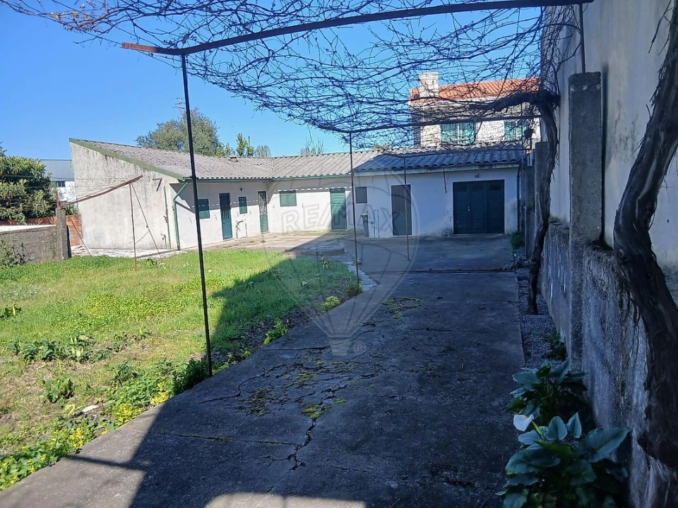 Terreno para Venda em Nogueira e Silva Escura Foto 3