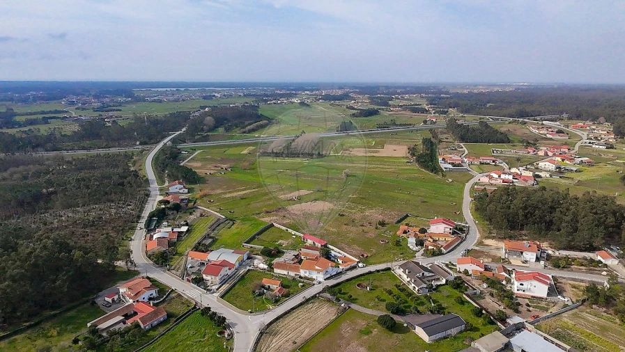 Terreno para Venda em Bom Sucesso Foto 3
