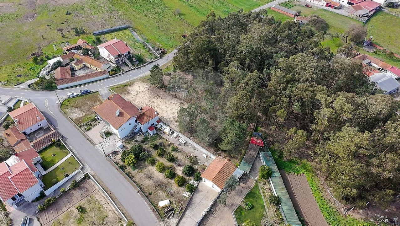 Terreno para Venda em Bom Sucesso Foto 7