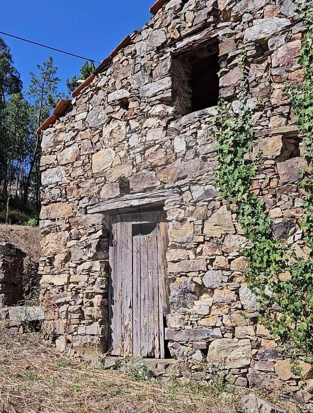 Moradia T3 para Venda em Ferreira do Zezere Foto 4