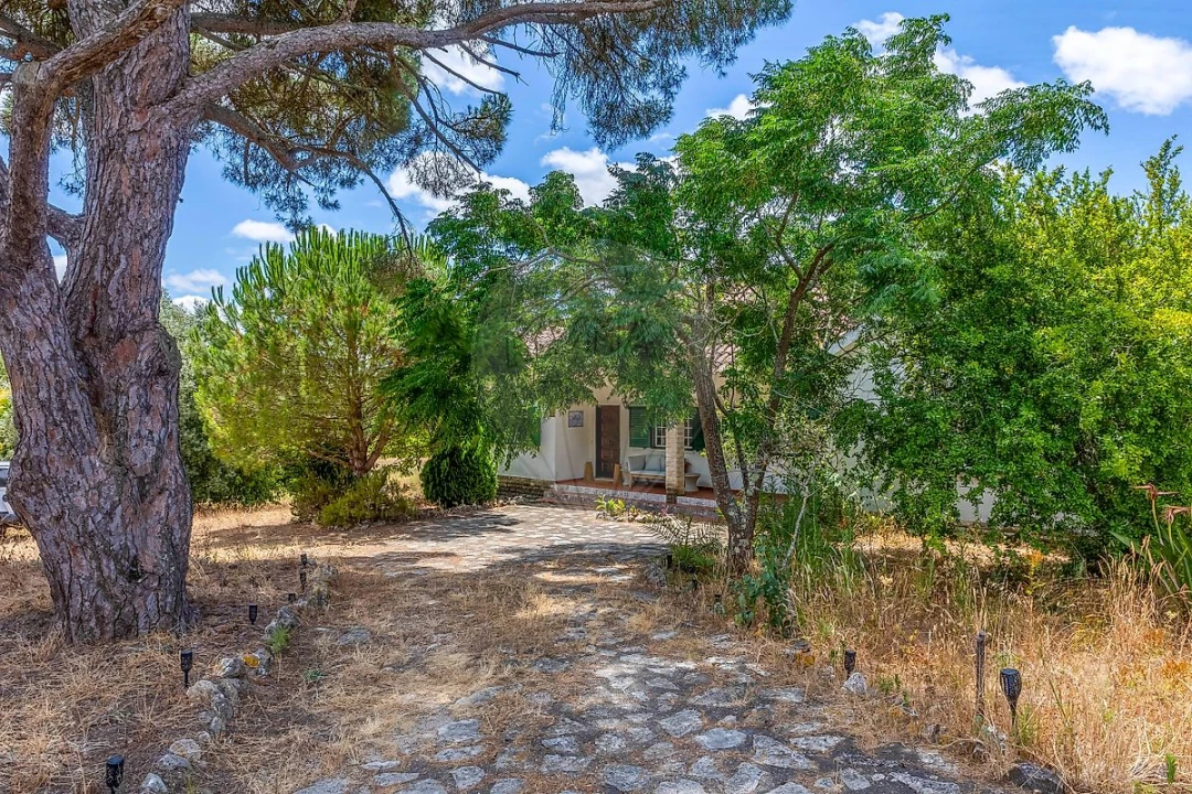 Quinta T3 para Venda em Alcoentre Foto 47