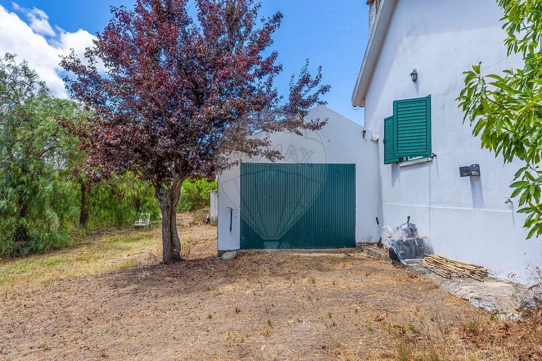 Quinta T3 para Venda em Alcoentre Foto 22