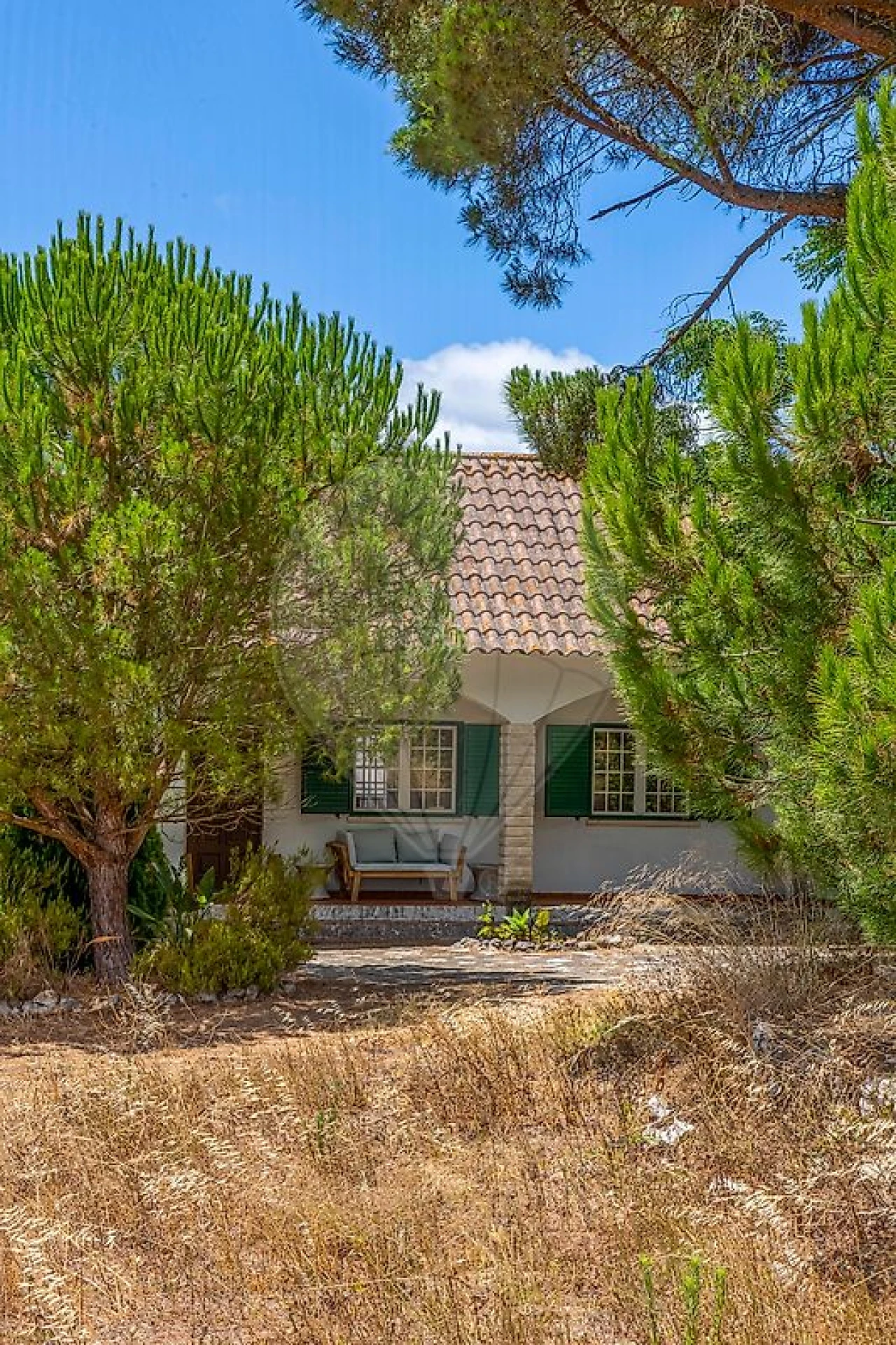 Quinta T3 para Venda em Alcoentre Foto 40