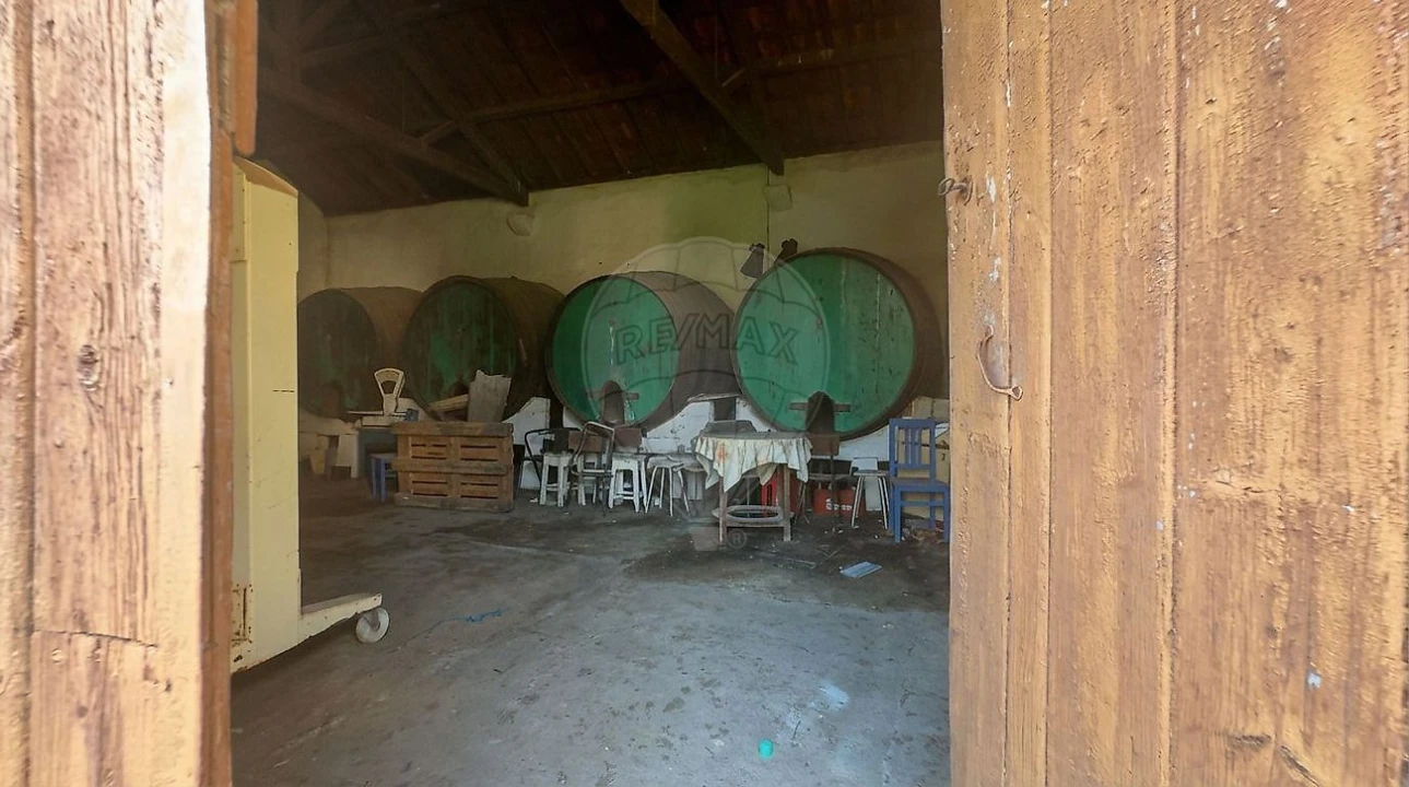 Moradia T4 para Venda em Cartaxo e Vale da Pinta Foto 15