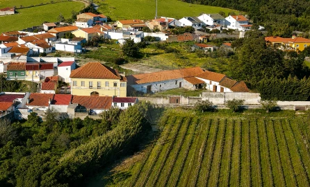 Moradia T4 para Venda em Cartaxo e Vale da Pinta