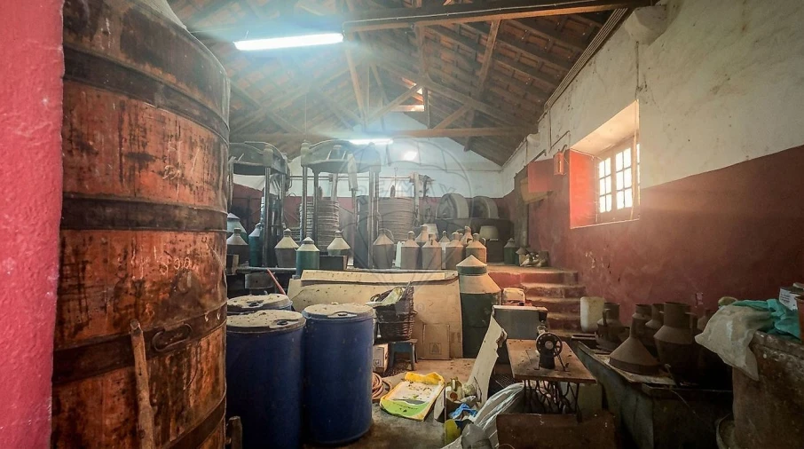 Moradia T4 para Venda em Cartaxo e Vale da Pinta Foto 19