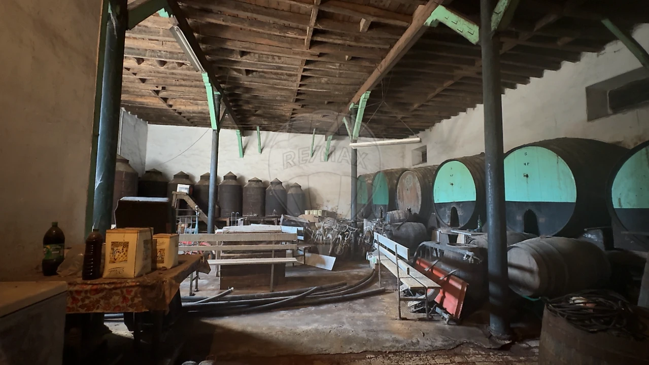 Moradia T4 para Venda em Cartaxo e Vale da Pinta Foto 17