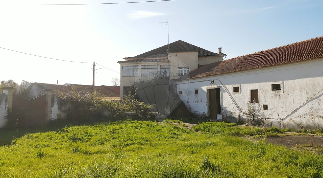 Moradia T4 para Venda em Cartaxo e Vale da Pinta Foto 35