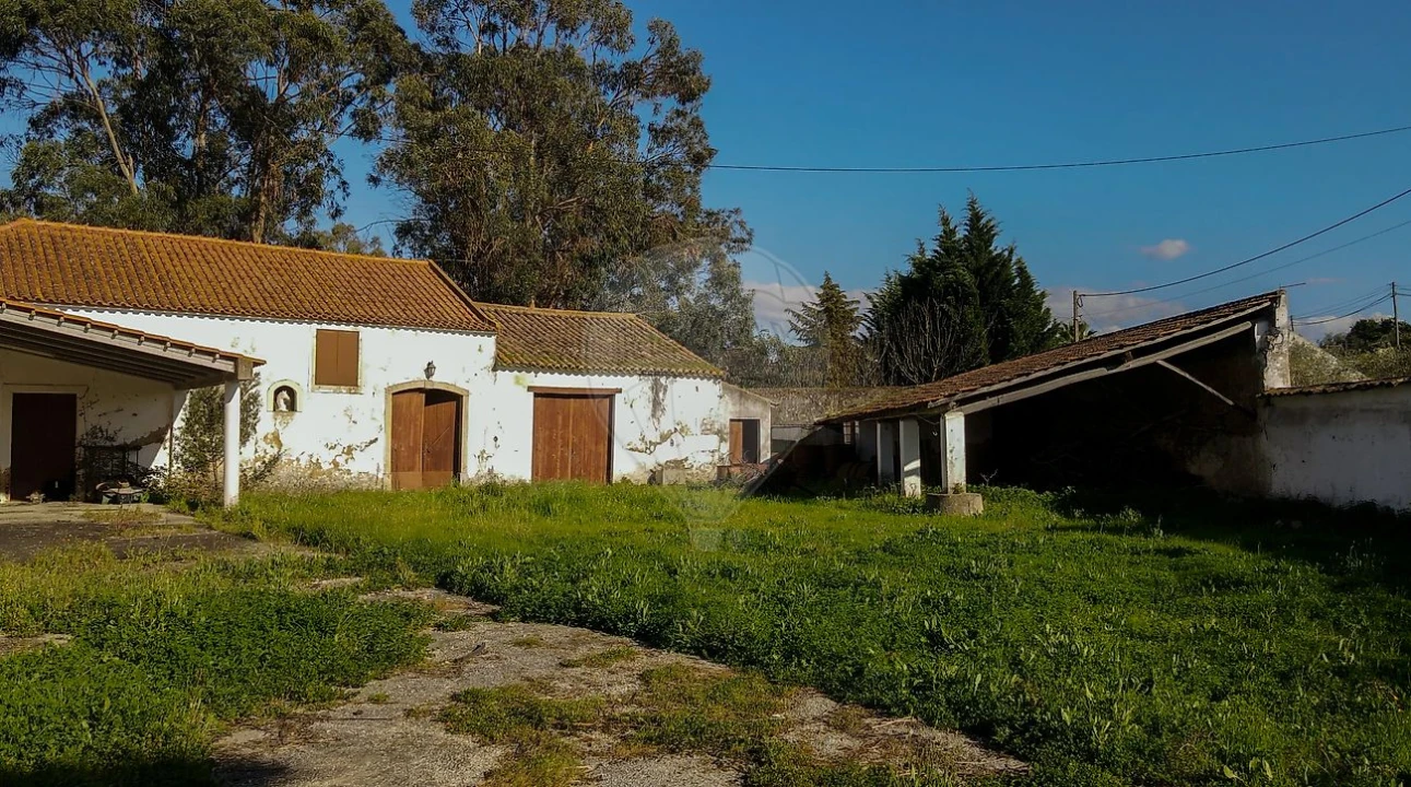 Moradia T4 para Venda em Cartaxo e Vale da Pinta Foto 22