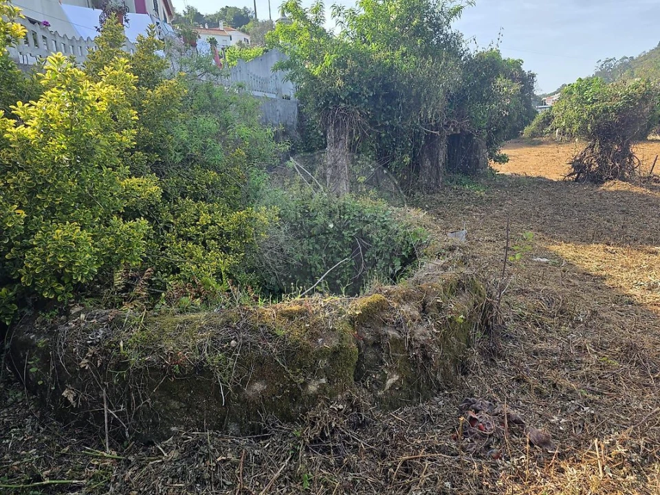 Terreno para Venda em Lousa Foto 4