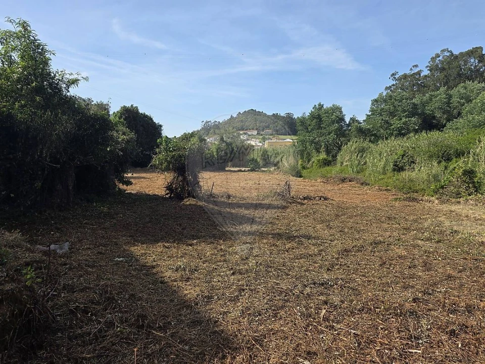 Terreno para Venda em Lousa Foto 3