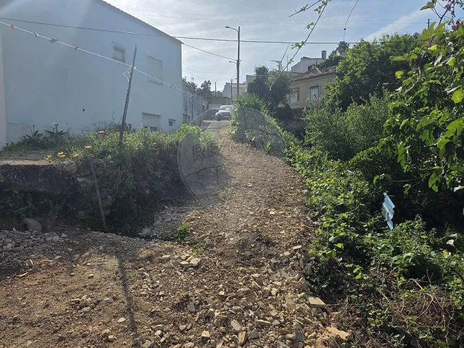 Terreno para Venda em Lousa Foto 6