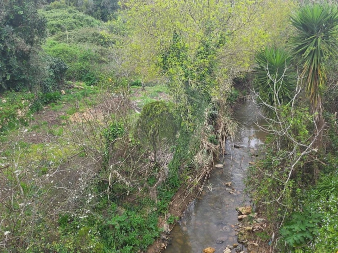 Terreno para Venda em Lousa Foto 11