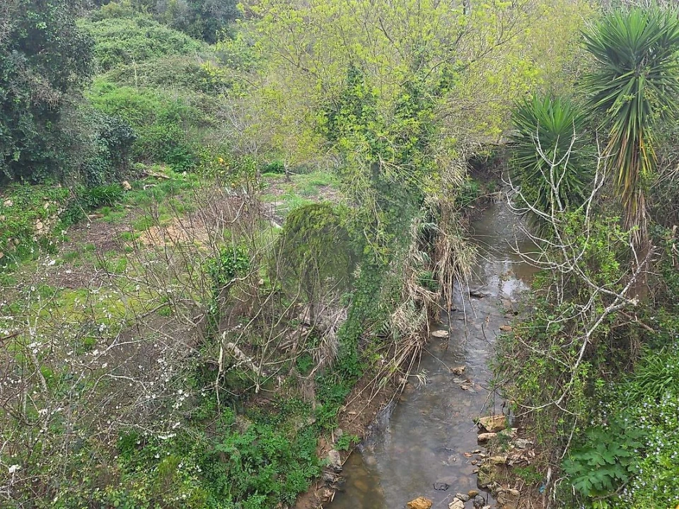 Terreno para Venda em Lousa Foto 11