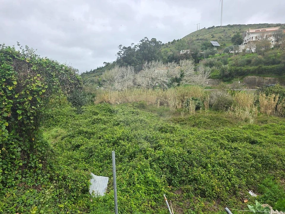 Terreno para Venda em Lousa Foto 12