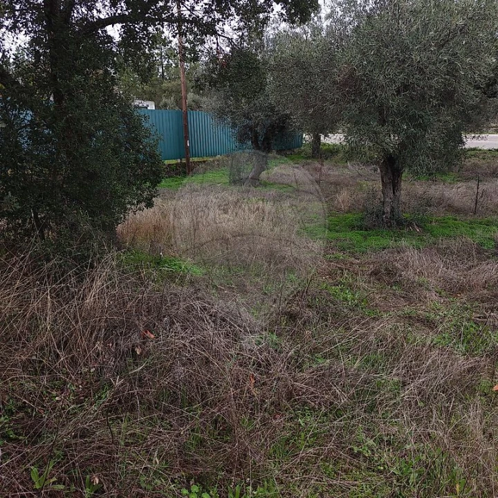 Terreno para Venda em Salgueiro do Campo Foto 10