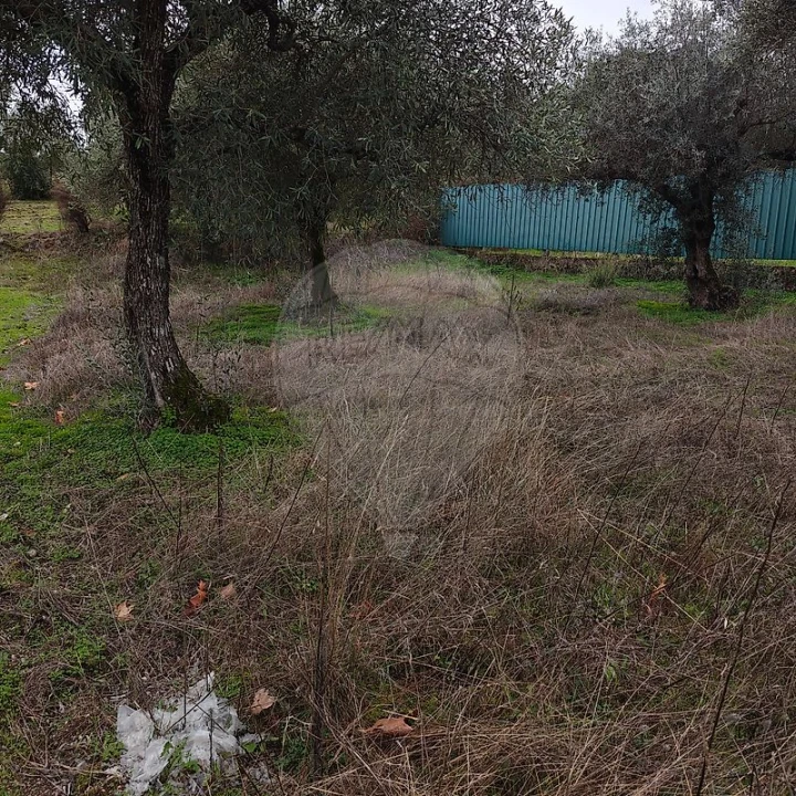 Terreno para Venda em Salgueiro do Campo Foto 9