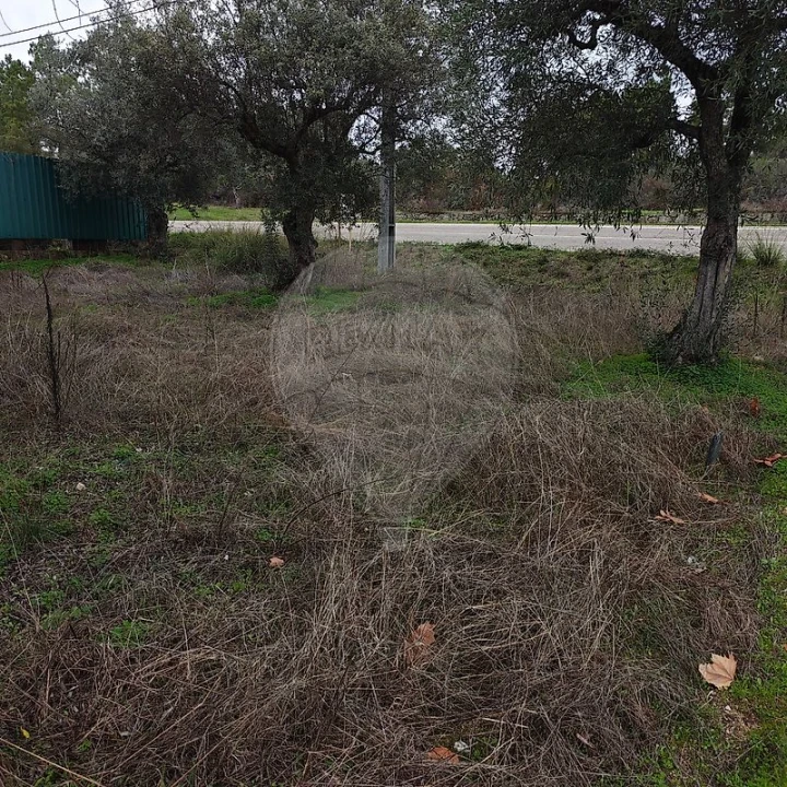 Terreno para Venda em Salgueiro do Campo Foto 8