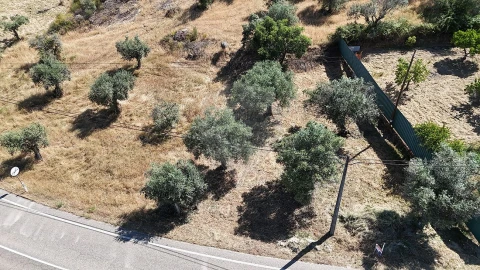 Terreno para Venda em Salgueiro do Campo