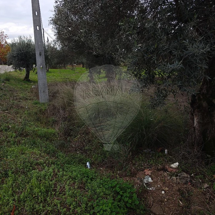 Terreno para Venda em Salgueiro do Campo Foto 3
