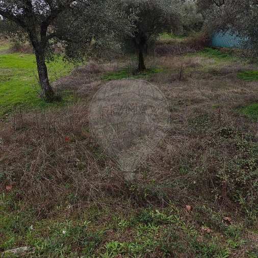 Terreno para Venda em Salgueiro do Campo Foto 4