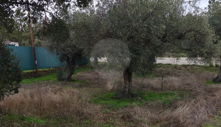 Terreno para Venda em Salgueiro do Campo Foto 1