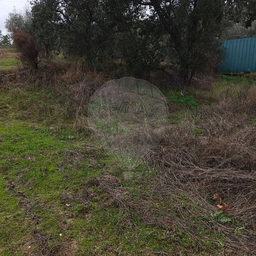 Terreno para Venda em Salgueiro do Campo Foto 7