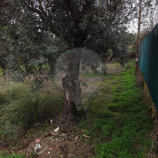 Terreno para Venda em Salgueiro do Campo Foto 2