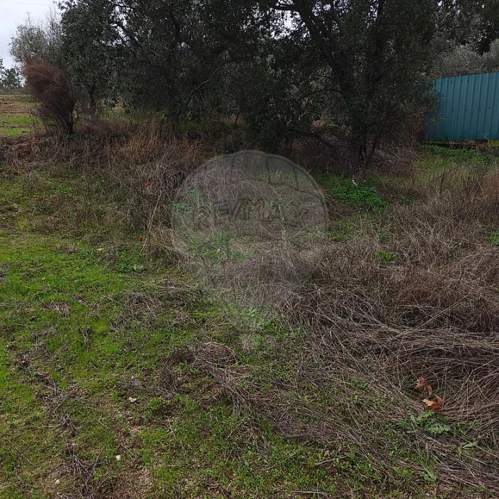 Terreno para Venda em Salgueiro do Campo Foto 7