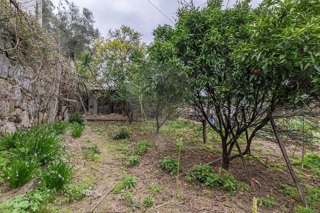 Moradia T1 para Venda em Caires Foto 10