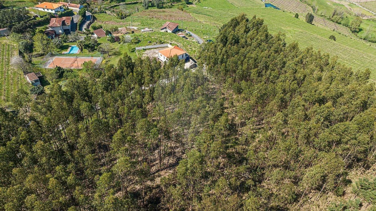 Terreno para Venda em Águas Santas e Moure Foto 18