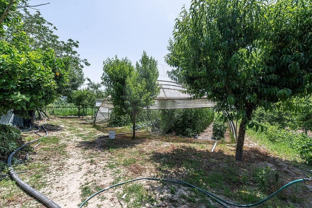 Moradia T8 para Venda em Braga (Maximinos, Sé e Cividade) Foto 22