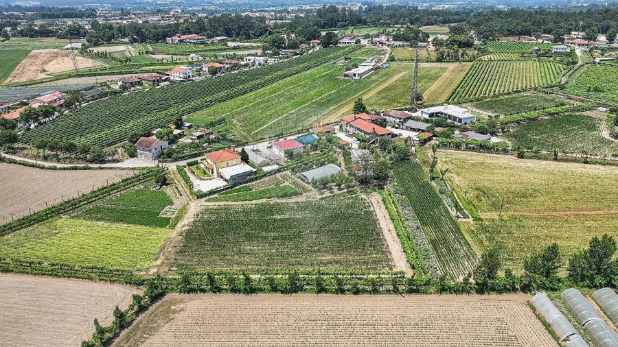 Moradia T8 para Venda em Braga (Maximinos, Sé e Cividade) Foto 12
