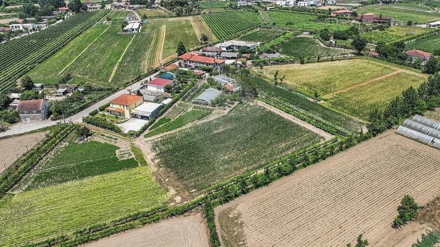 Moradia T8 para Venda em Braga (Maximinos, Sé e Cividade) Foto 14