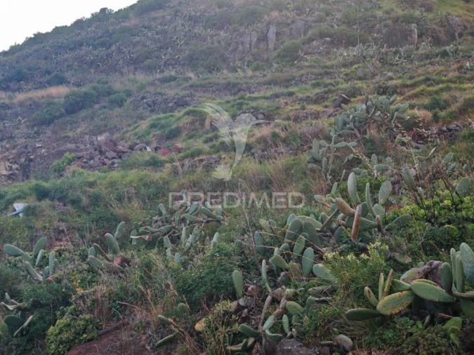 Terreno para Venda em Caniçal Foto 3