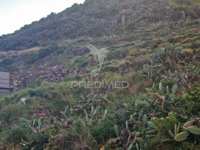 Terreno para Venda em Caniçal Foto 16