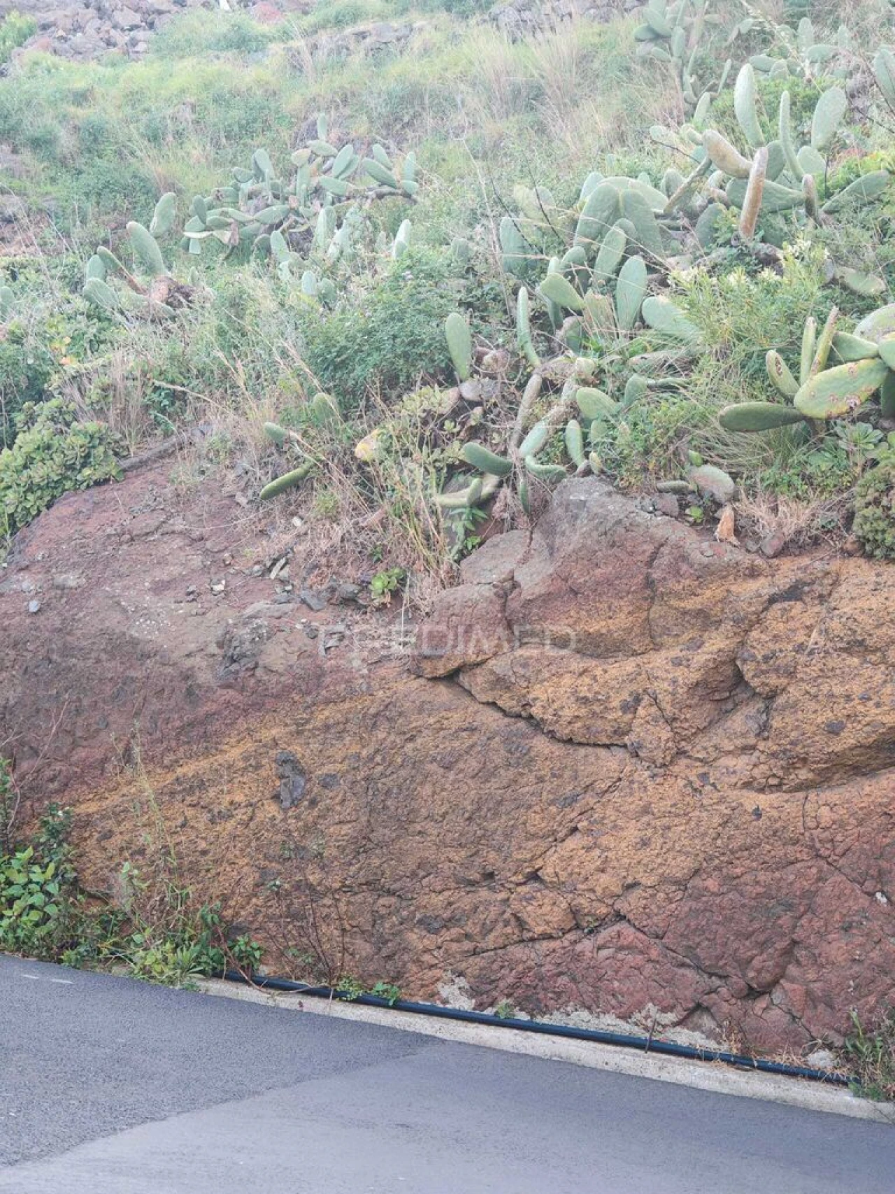 Terreno para Venda em Caniçal Foto 15