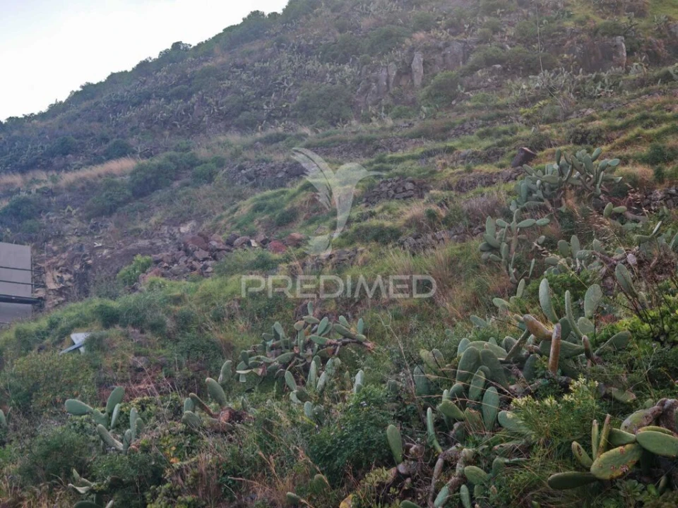 Terreno para Venda em Caniçal Foto 16