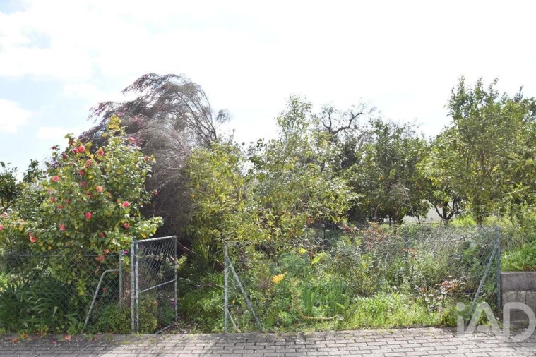 Apartamento T3 para Venda em Santiago e São Simão de Litém e Albergaria dos Doze Foto 37