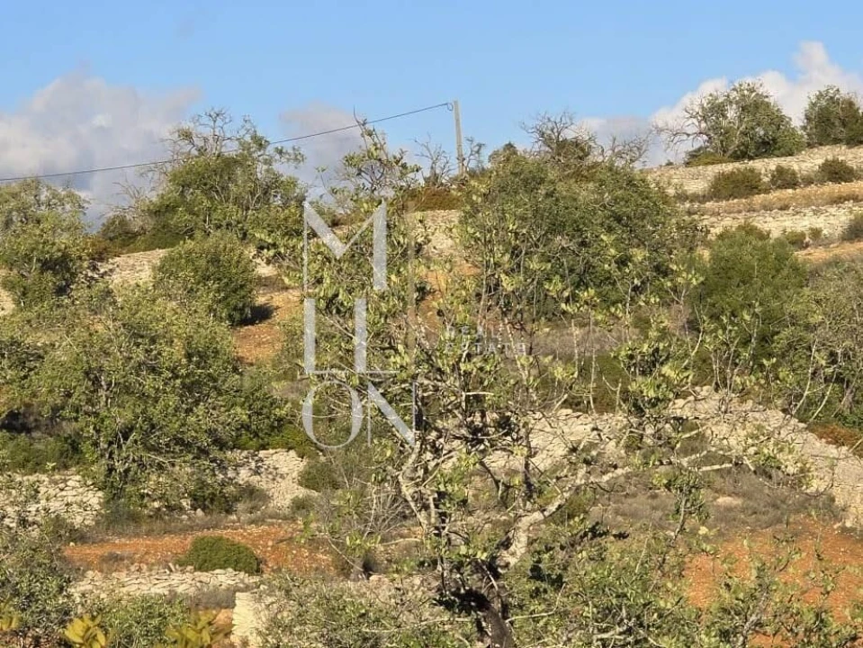 Terreno para Venda em Paderne Foto 1