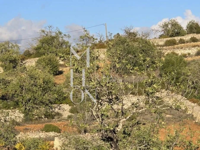 Terreno para Venda em Paderne Foto 1