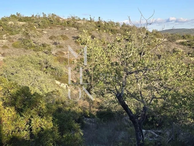 Terreno para Venda em Paderne Foto 2