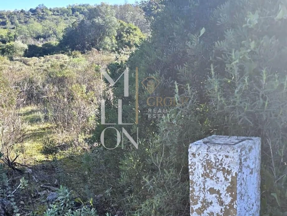 Terreno para Venda em Boliqueime Foto 4