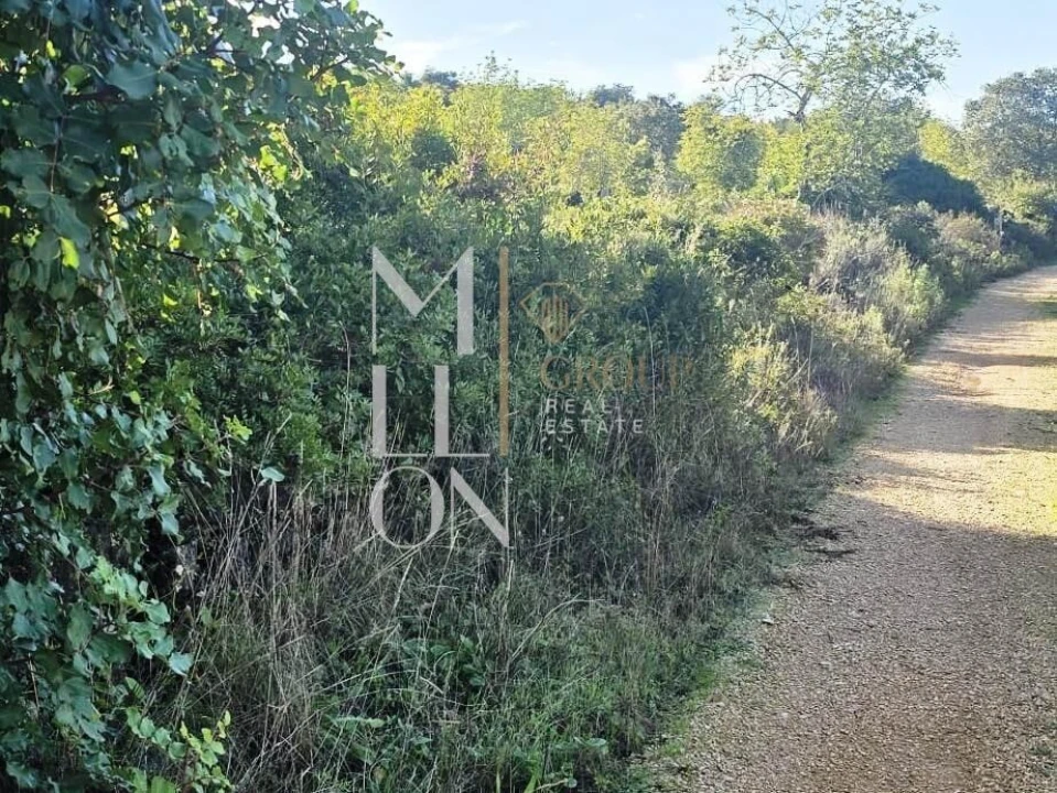 Terreno para Venda em Boliqueime Foto 5