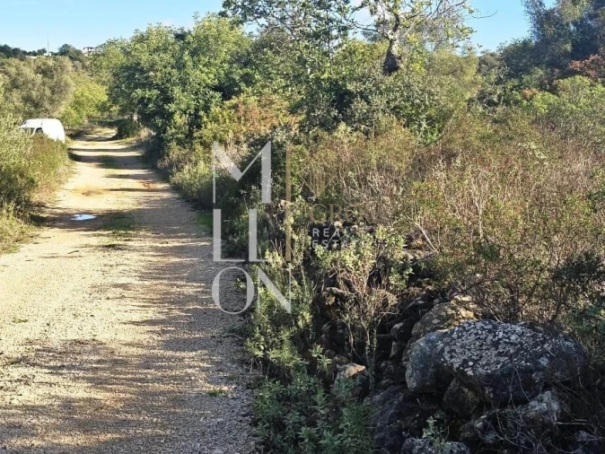 Terreno para Venda em Boliqueime Foto 6