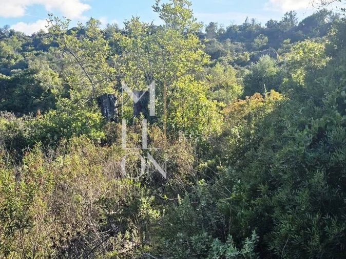 Terreno para Venda em Boliqueime Foto 7