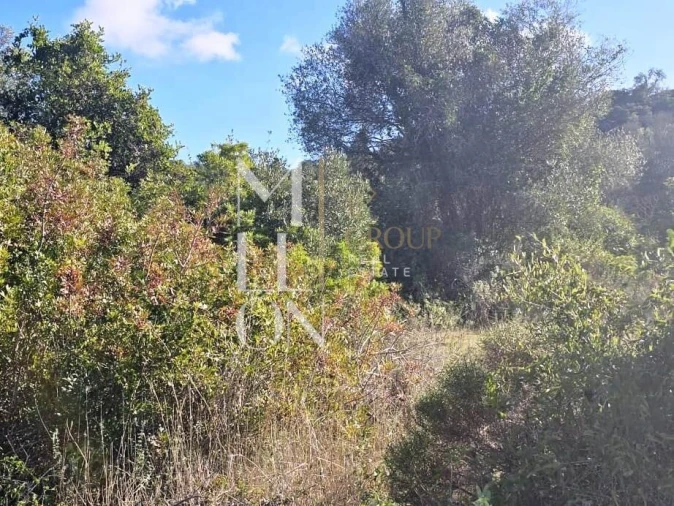 Terreno para Venda em Boliqueime Foto 2