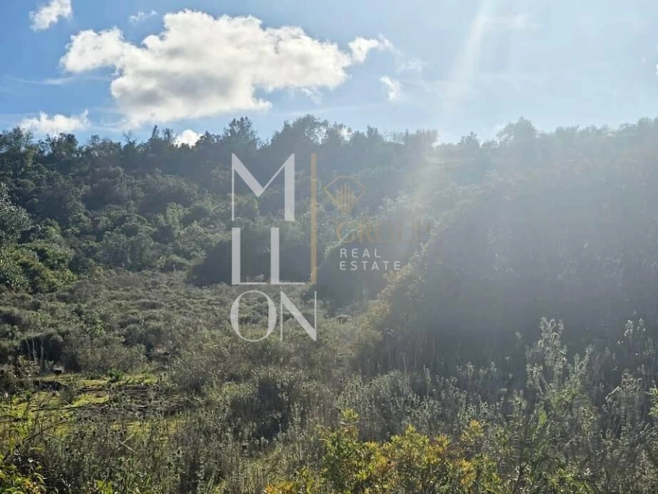 Terreno para Venda em Boliqueime Foto 3